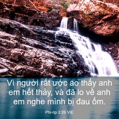 Picture 03 - Phi-líp 2:26 VIE - Vì người rất ước ao thấy anh em hết - Bible Verse Picture