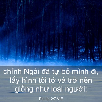 Picture 03 - Phi-líp 2:7 VIE - chính Ngài đã tự bỏ mình đi, lấy - Bible Verse Picture