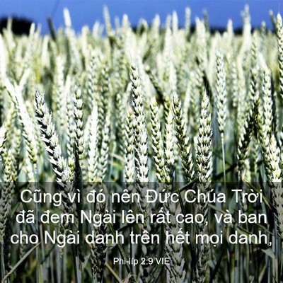 Picture 03 - Phi-líp 2:9 VIE - Cũng vì đó nên Đức Chúa Trời đã đem - Bible Verse Picture