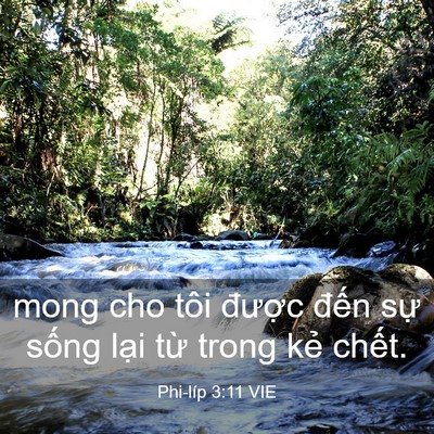 Picture 03 - Phi-líp 3:11 VIE - mong cho tôi được đến sự sống lại - Bible Verse Picture