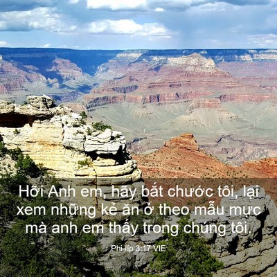Picture 03 - Phi-líp 3:17 VIE - Hỡi Anh em, hãy bắt chước tôi, lại xem - Bible Verse Picture