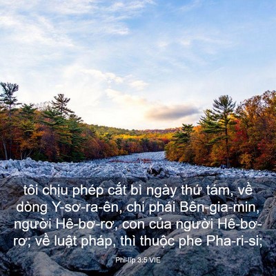 Picture 03 - Phi-líp 3:5 VIE - tôi chịu phép cắt bì ngày thứ tám, - Bible Verse Picture