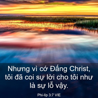 Picture 03 - Phi-líp 3:7 VIE - Nhưng vì cớ Đấng Christ, tôi đã coi - Bible Verse Picture