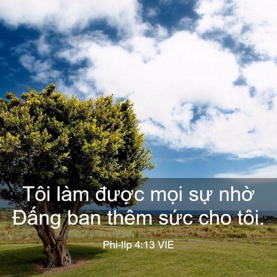 Picture 03 - Phi-líp 4:13 VIE - Tôi làm được mọi sự nhờ Đấng ban - Bible Verse Picture