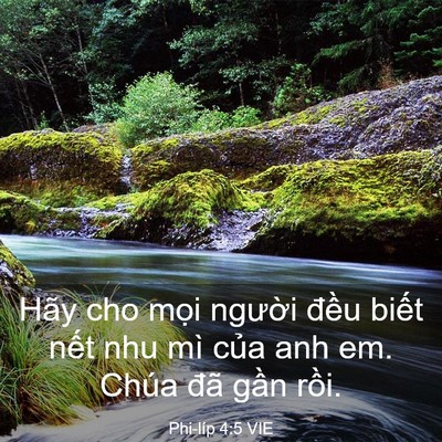 Picture 03 - Phi-líp 4:5 VIE - Hãy cho mọi người đều biết nết nhu - Bible Verse Picture