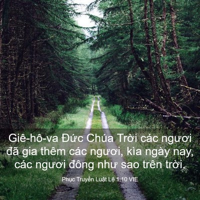 Picture 03 - Phục Truyền Luật Lệ 1:10 VIE - Giê-hô-va Đức Chúa Trời các ngươi đã - Bible Verse Picture