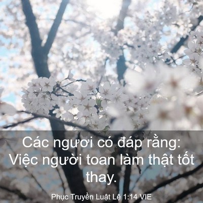 Picture 03 - Phục Truyền Luật Lệ 1:14 VIE - Các ngươi có đáp rằng: Việc người - Bible Verse Picture
