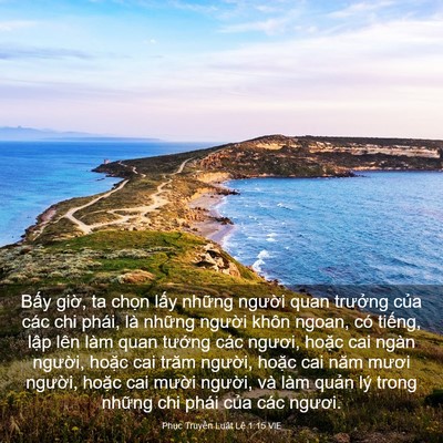 Picture 03 - Phục Truyền Luật Lệ 1:15 VIE - Bấy giờ, ta chọn lấy những người - Bible Verse Picture