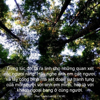 Picture 03 - Phục Truyền Luật Lệ 1:16 VIE - Trong lúc đó, ta ra lịnh cho những quan - Bible Verse Picture