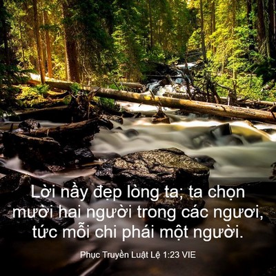 Picture 03 - Phục Truyền Luật Lệ 1:23 VIE - Lời nầy đẹp lòng ta; ta chọn mười - Bible Verse Picture