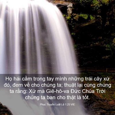 Picture 03 - Phục Truyền Luật Lệ 1:25 VIE - Họ hái cầm trong tay mình những trái - Bible Verse Picture