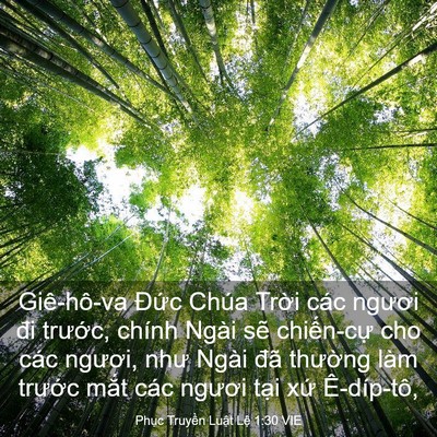 Picture 03 - Phục Truyền Luật Lệ 1:30 VIE - Giê-hô-va Đức Chúa Trời các ngươi đi - Bible Verse Picture