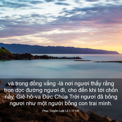 Picture 03 - Phục Truyền Luật Lệ 1:31 VIE - và trong đồng vắng -là nơi ngươi thấy - Bible Verse Picture