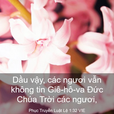 Picture 03 - Phục Truyền Luật Lệ 1:32 VIE - Dầu vậy, các ngươi vẫn không tin - Bible Verse Picture