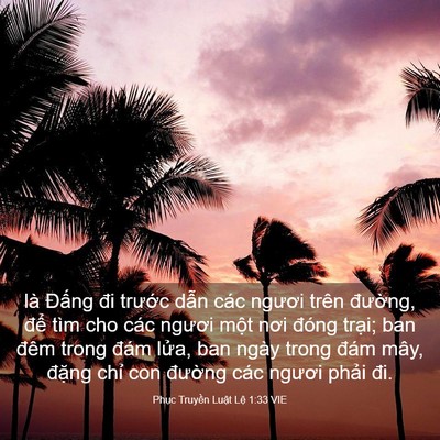 Picture 03 - Phục Truyền Luật Lệ 1:33 VIE - là Đấng đi trước dẫn các ngươi trên - Bible Verse Picture