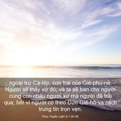 Picture 03 - Phục Truyền Luật Lệ 1:36 VIE - ngoại trừ Ca-lép, con trai của - Bible Verse Picture