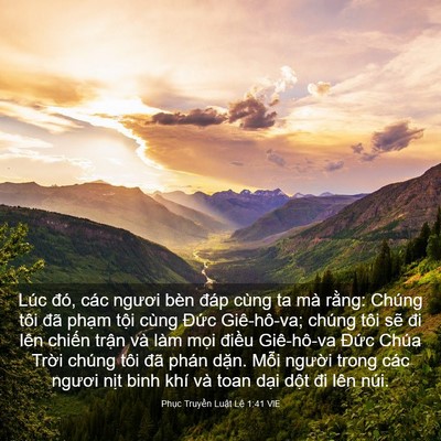 Picture 03 - Phục Truyền Luật Lệ 1:41 VIE - Lúc đó, các ngươi bèn đáp cùng ta mà - Bible Verse Picture