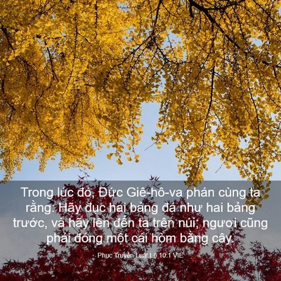 Picture 03 - Phục Truyền Luật Lệ 10:1 VIE - Trong lúc đó, Đức Giê-hô-va phán cùng - Bible Verse Picture