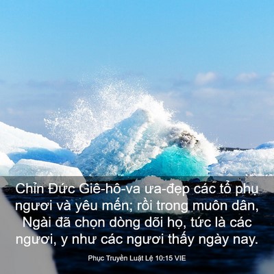 Picture 03 - Phục Truyền Luật Lệ 10:15 VIE - Chỉn Đức Giê-hô-va ưa-đẹp các tổ - Bible Verse Picture