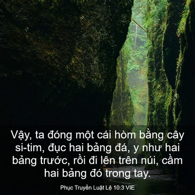Picture 03 - Phục Truyền Luật Lệ 10:3 VIE - Vậy, ta đóng một cái hòm bằng cây - Bible Verse Picture