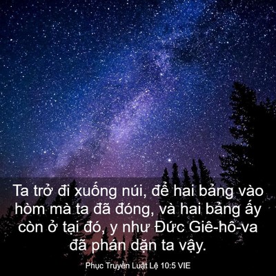 Picture 03 - Phục Truyền Luật Lệ 10:5 VIE - Ta trở đi xuống núi, để hai bảng vào - Bible Verse Picture