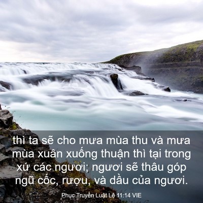 Picture 03 - Phục Truyền Luật Lệ 11:14 VIE - thì ta sẽ cho mưa mùa thu và mưa mùa - Bible Verse Picture