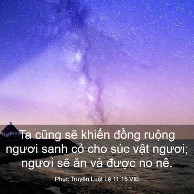 Picture 03 - Phục Truyền Luật Lệ 11:15 VIE - Ta cũng sẽ khiến đồng ruộng ngươi - Bible Verse Picture