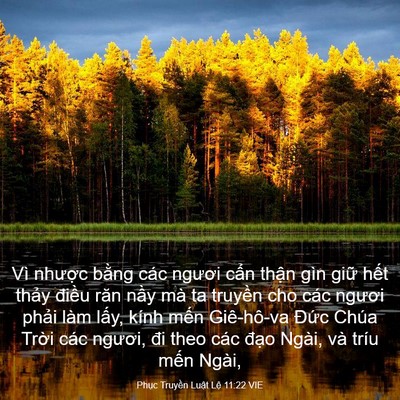 Picture 03 - Phục Truyền Luật Lệ 11:22 VIE - Vì nhược bằng các ngươi cẩn thận - Bible Verse Picture