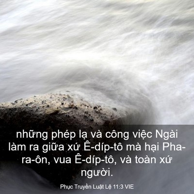 Picture 03 - Phục Truyền Luật Lệ 11:3 VIE - những phép lạ và công việc Ngài làm ra - Bible Verse Picture