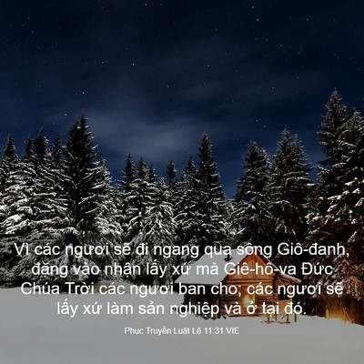 Picture 03 - Phục Truyền Luật Lệ 11:31 VIE - Vì các ngươi sẽ đi ngang qua sông - Bible Verse Picture