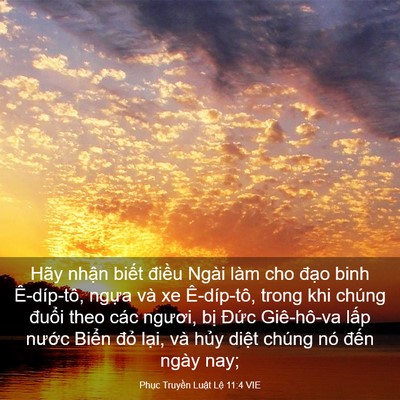 Picture 03 - Phục Truyền Luật Lệ 11:4 VIE - Hãy nhận biết điều Ngài làm cho đạo - Bible Verse Picture