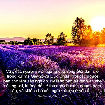 Picture 03 - Phục Truyền Luật Lệ 12:10 VIE - Vậy, các ngươi sẽ đi ngang qua sông - Bible Verse Picture