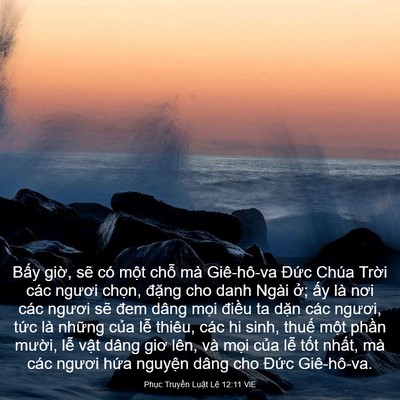 Picture 03 - Phục Truyền Luật Lệ 12:11 VIE - Bấy giờ, sẽ có một chỗ mà Giê-hô-va - Bible Verse Picture