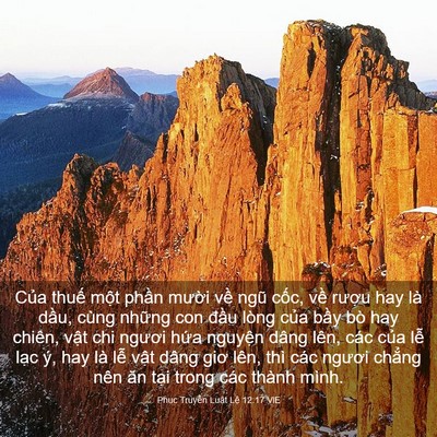 Picture 03 - Phục Truyền Luật Lệ 12:17 VIE - Của thuế một phần mười về ngũ - Bible Verse Picture