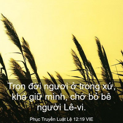 Picture 03 - Phục Truyền Luật Lệ 12:19 VIE - Trọn đời ngươi ở trong xứ, khá giữ - Bible Verse Picture
