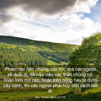 Picture 03 - Phục Truyền Luật Lệ 12:2 VIE - Phàm nơi nào những dân tộc, mà các - Bible Verse Picture