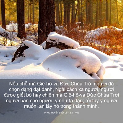 Picture 03 - Phục Truyền Luật Lệ 12:21 VIE - Nếu chỗ mà Giê-hô-va Đức Chúa Trời - Bible Verse Picture