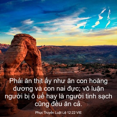 Picture 03 - Phục Truyền Luật Lệ 12:22 VIE - Phải ăn thịt ấy như ăn con hoàng - Bible Verse Picture