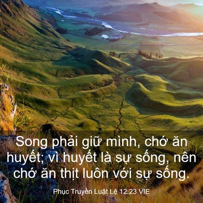 Picture 03 - Phục Truyền Luật Lệ 12:23 VIE - Song phải giữ mình, chớ ăn huyết; vì - Bible Verse Picture
