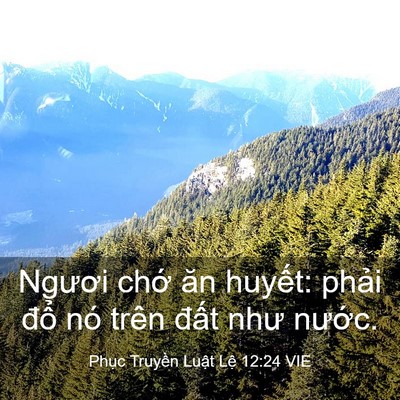 Picture 03 - Phục Truyền Luật Lệ 12:24 VIE - Ngươi chớ ăn huyết: phải đổ nó trên - Bible Verse Picture