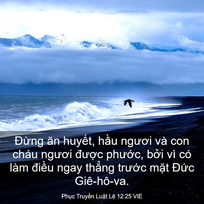 Picture 03 - Phục Truyền Luật Lệ 12:25 VIE - Đừng ăn huyết, hầu ngươi và con cháu - Bible Verse Picture