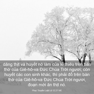 Picture 03 - Phục Truyền Luật Lệ 12:27 VIE - dâng thịt và huyết nó làm của lễ - Bible Verse Picture