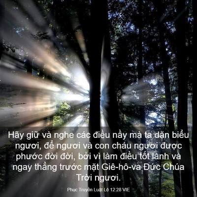 Picture 03 - Phục Truyền Luật Lệ 12:28 VIE - Hãy giữ và nghe các điều nầy mà ta - Bible Verse Picture