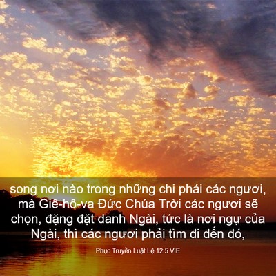 Picture 03 - Phục Truyền Luật Lệ 12:5 VIE - song nơi nào trong những chi phái các - Bible Verse Picture