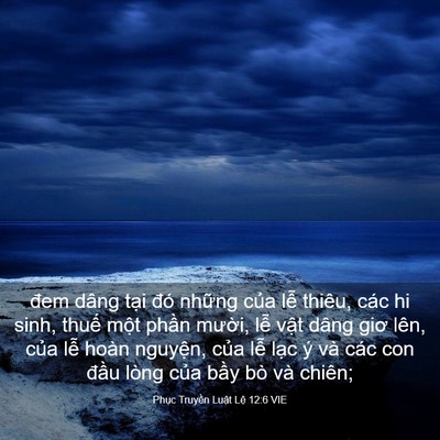 Picture 03 - Phục Truyền Luật Lệ 12:6 VIE - đem dâng tại đó những của lễ thiêu, - Bible Verse Picture