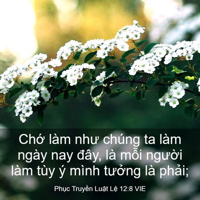Picture 03 - Phục Truyền Luật Lệ 12:8 VIE - Chớ làm như chúng ta làm ngày nay đây, - Bible Verse Picture
