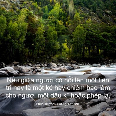 Picture 03 - Phục Truyền Luật Lệ 13:1 VIE - Nếu giữa ngươi có nổi lên một tiên - Bible Verse Picture
