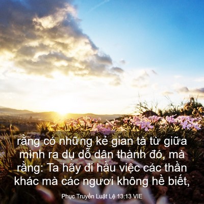 Picture 03 - Phục Truyền Luật Lệ 13:13 VIE - rằng có những kẻ gian tà từ giữa - Bible Verse Picture