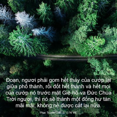 Picture 03 - Phục Truyền Luật Lệ 13:16 VIE - Đoạn, ngươi phải gom hết thảy của - Bible Verse Picture