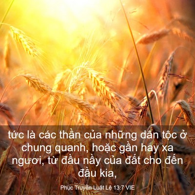 Picture 03 - Phục Truyền Luật Lệ 13:7 VIE - tức là các thần của những dân tộc - Bible Verse Picture